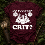 Do You Even Crit ? T-Shirt