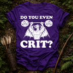 Do You Even Crit ? T-Shirt